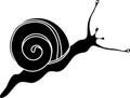 Black silhouette of white-lipped snail (Cepaea hortensis) Royalty Free Stock Photo